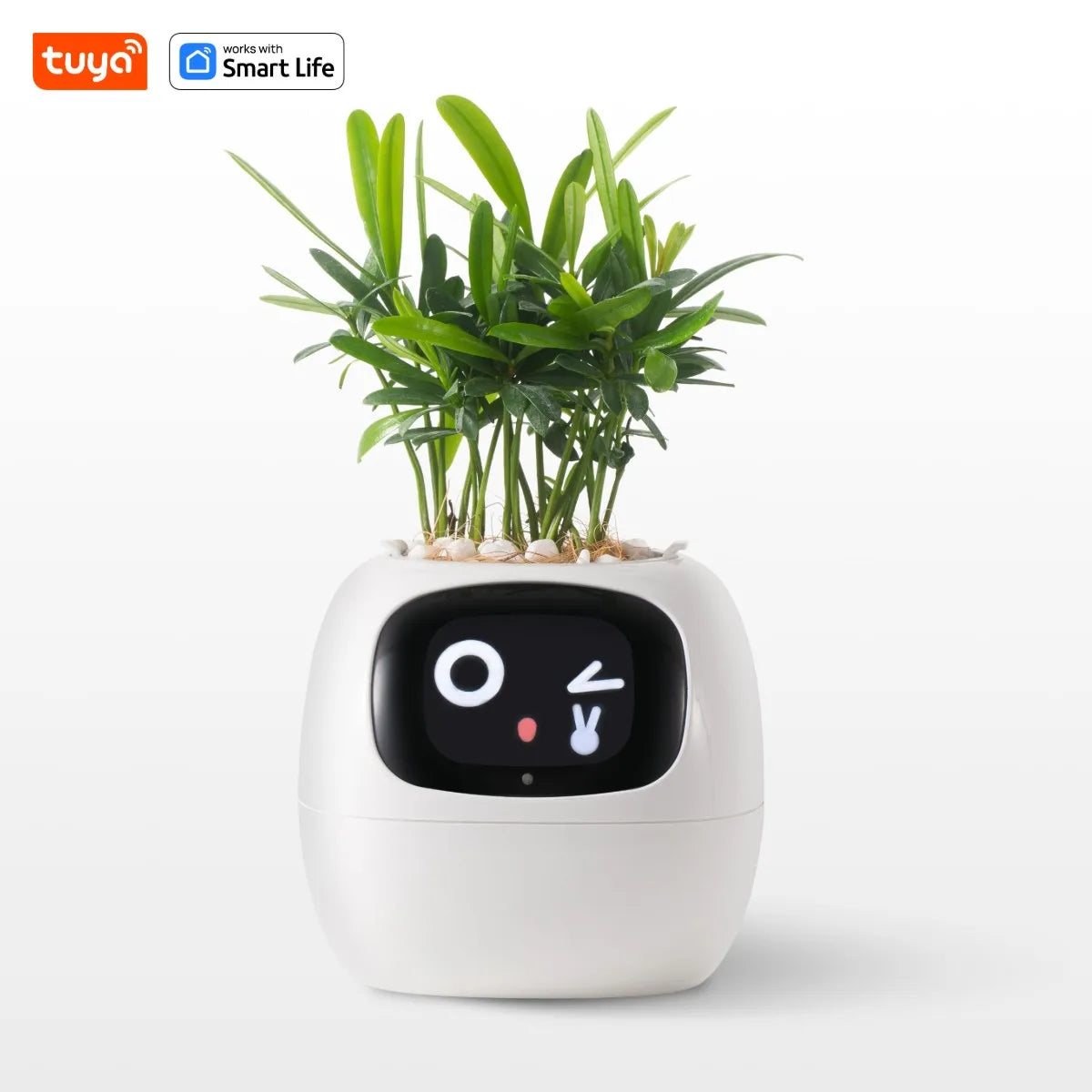 White Tuya Ivy Smart Planter