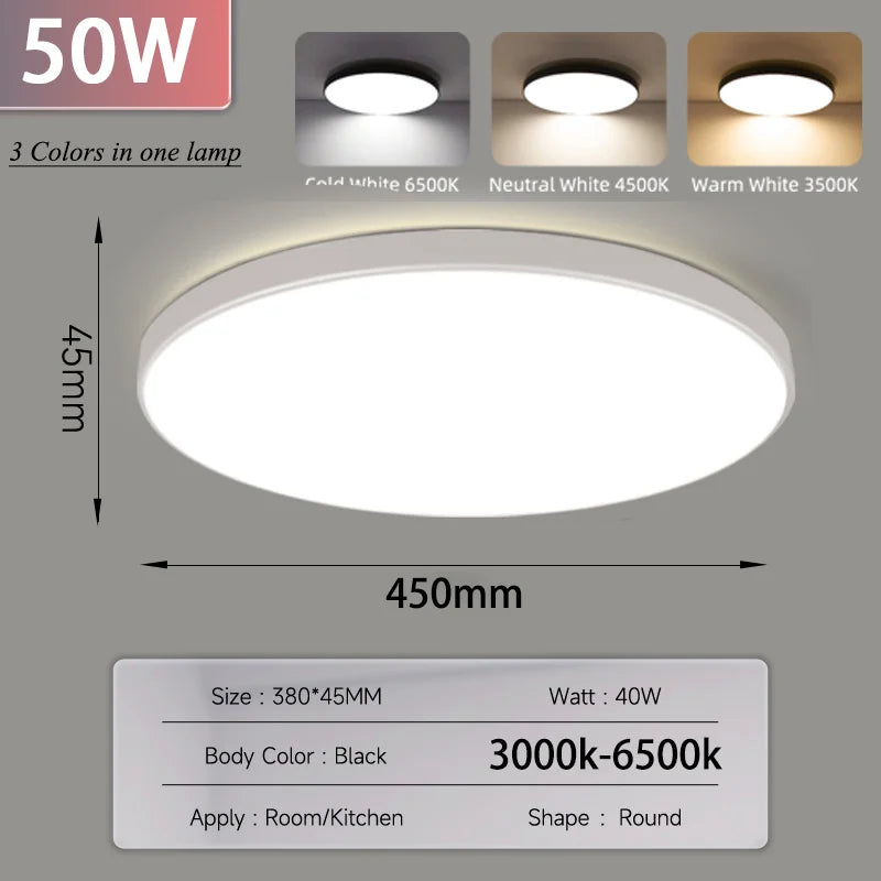 Smart Led Ceiling Light