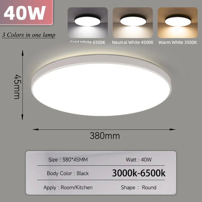 Smart Led Ceiling Light