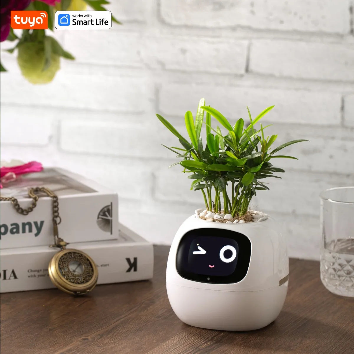 White Tuya Ivy Smart Planter