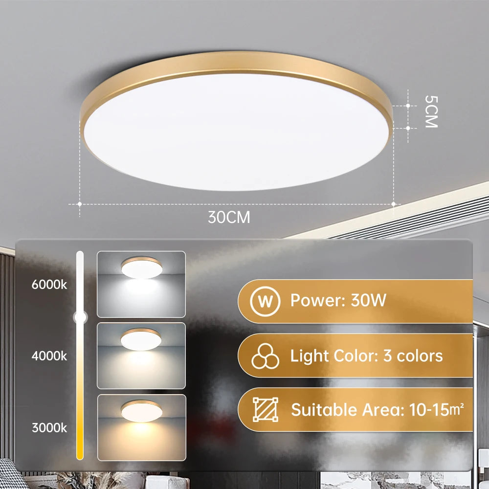 Smart Led Ceiling Light