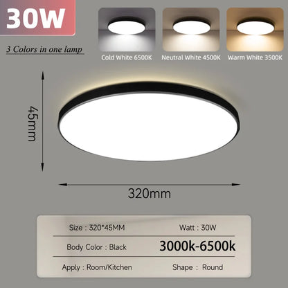 Smart Led Ceiling Light