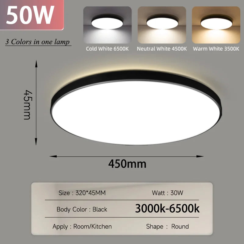 Smart Led Ceiling Light