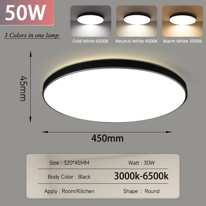 Smart Led Ceiling Light