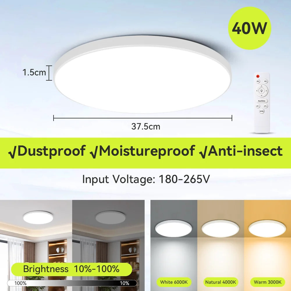 Smart Led Ceiling Light