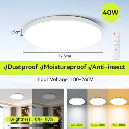 Smart Led Ceiling Light