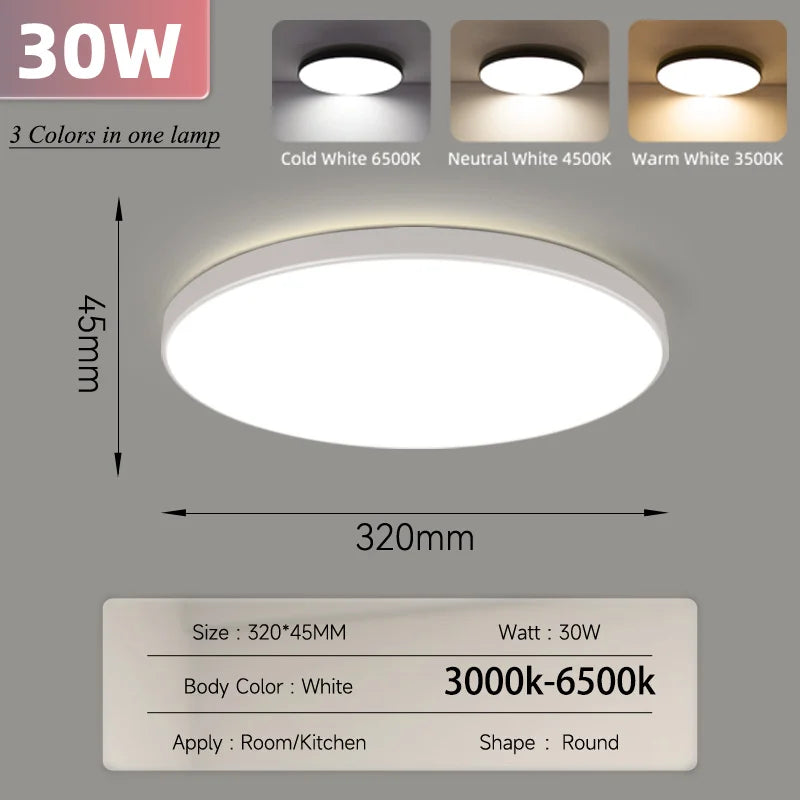 Smart Led Ceiling Light