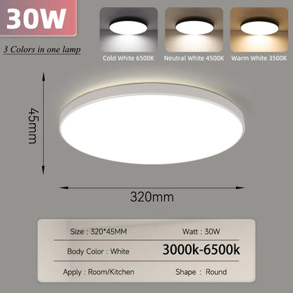 Smart Led Ceiling Light