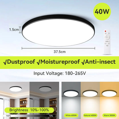 Smart Led Ceiling Light