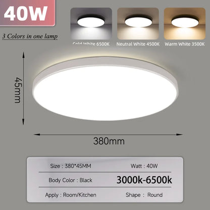 Smart Led Ceiling Light