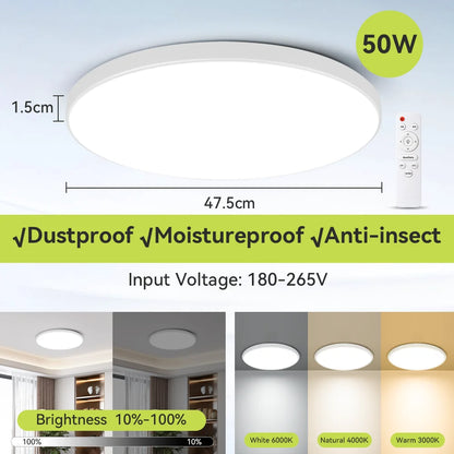 Smart Led Ceiling Light