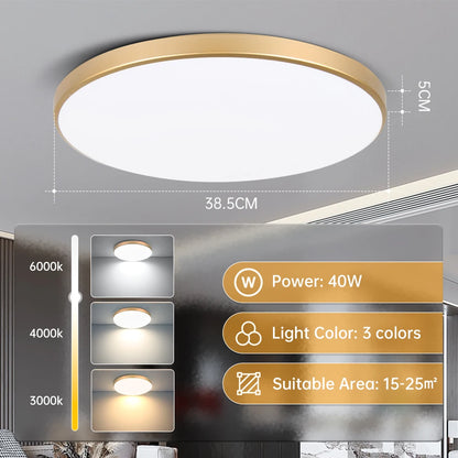 Smart Led Ceiling Light
