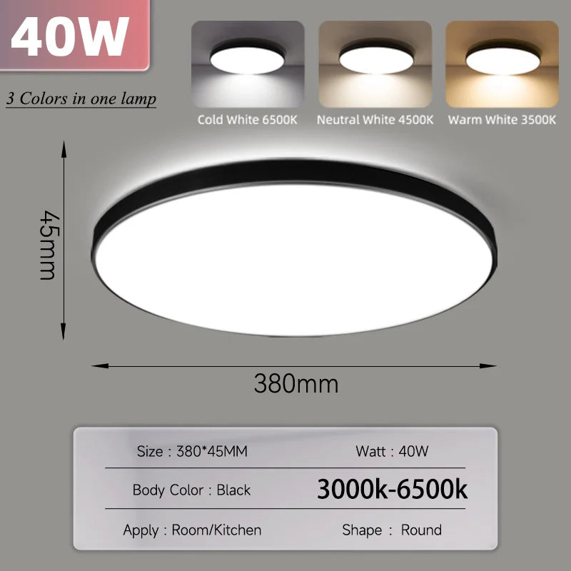 Smart Led Ceiling Light