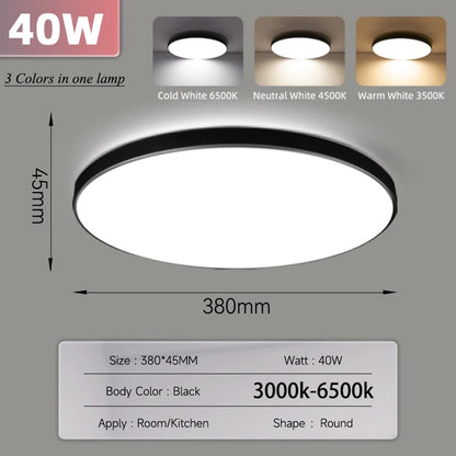Smart Led Ceiling Light